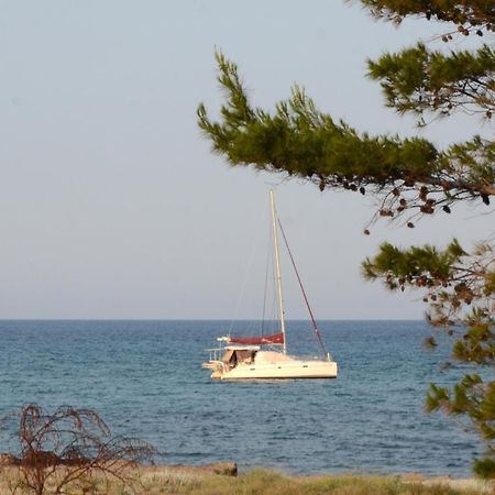 Appartamenti Fronte Mare ซินิสโกลา ภายนอก รูปภาพ